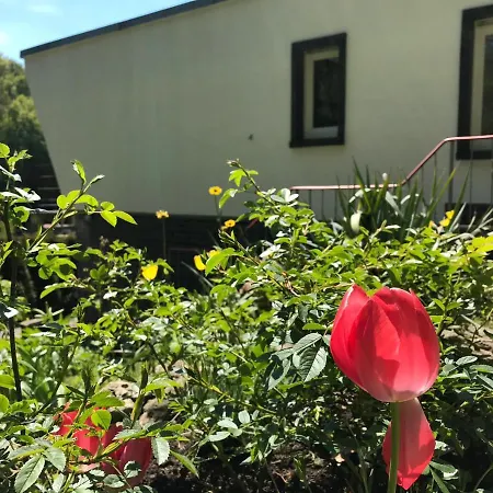 Am Wald * Wendehausen