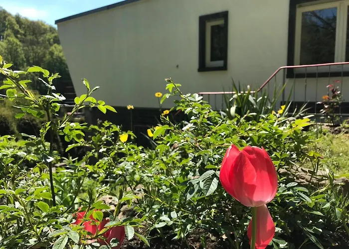 Am Wald * Wendehausen